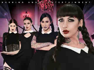 Среда Аддамс 3 (2019)