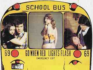 Что скрывают школьницы (1973)