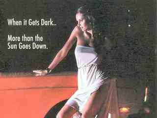 Ночные бродяги (1986)