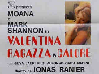 Валентина, девушка в жару (1981)