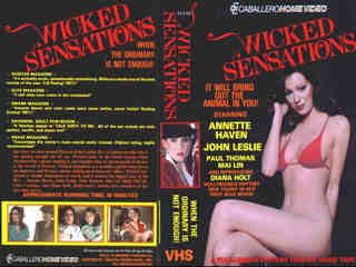 Грешные чувства (1980)