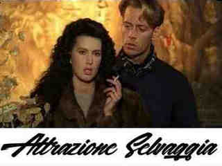 Дикое притяжение (1992)