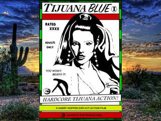 Дом блудниц (1971)