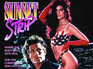 Закатный стриптиз (1993)