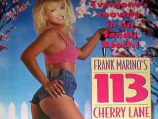 Вишнёвый переулок, 113 (1994)