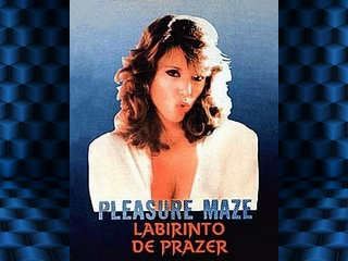 Лабиринт удовольствий (1986)