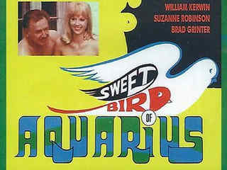 Милая птица Водолея (1970)