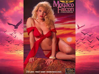 Монакский cокол (1990)