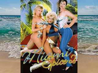 Пряности Майами 2 (1986)